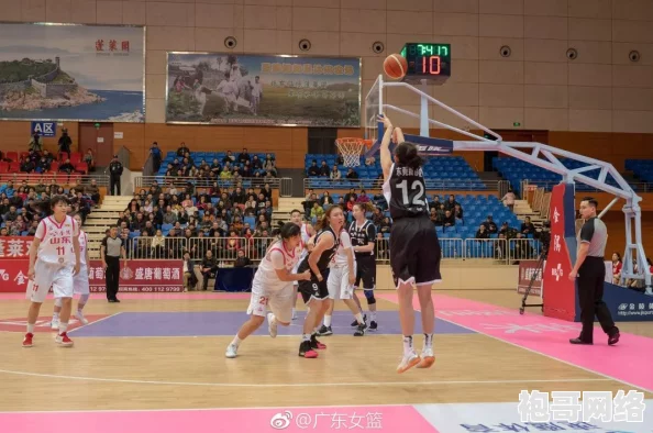 女篮比赛盛轮轩小说：球场上的绯闻纷扰，内幕曝光引发热议