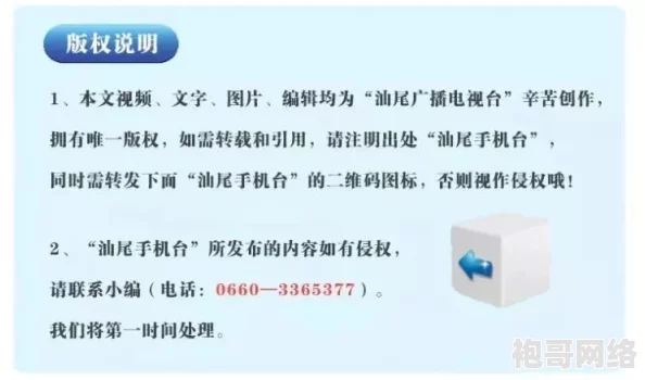 免费雷电将军乳液VX网站：传闻其背后隐藏着神秘大佬的投资计划，网友热议是否会引发行业变革！