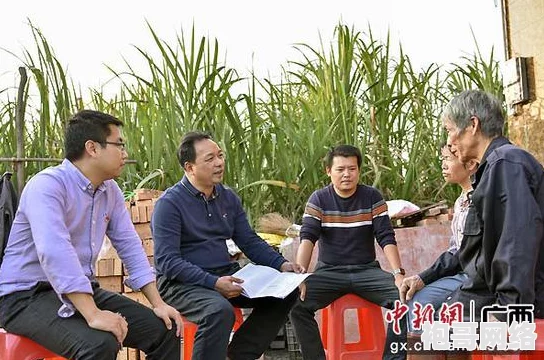 胡秀英三十二部顺序介绍：最新动态与作品分析，带你深入了解她的艺术成就与创作历程