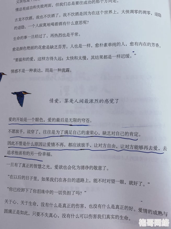 无意情深by拉面要加香菜txt番外10天的爱人心中有爱每一天都值得珍惜与感恩